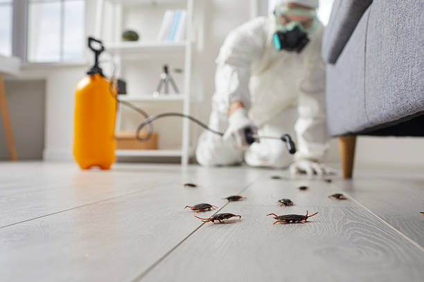 Commercial Kitchen Cockroach Control in Danville